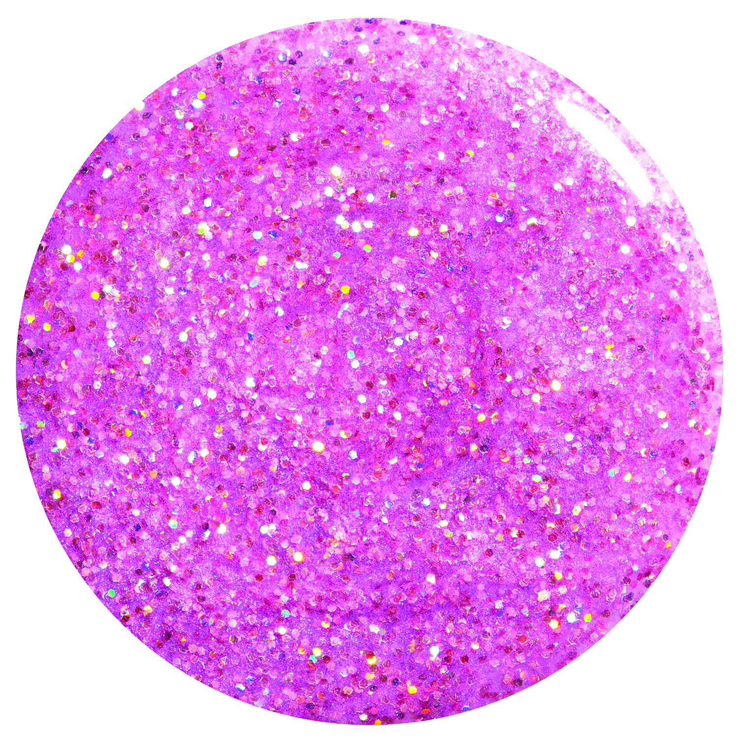 MPORLNLQNCE90194_02.jpg