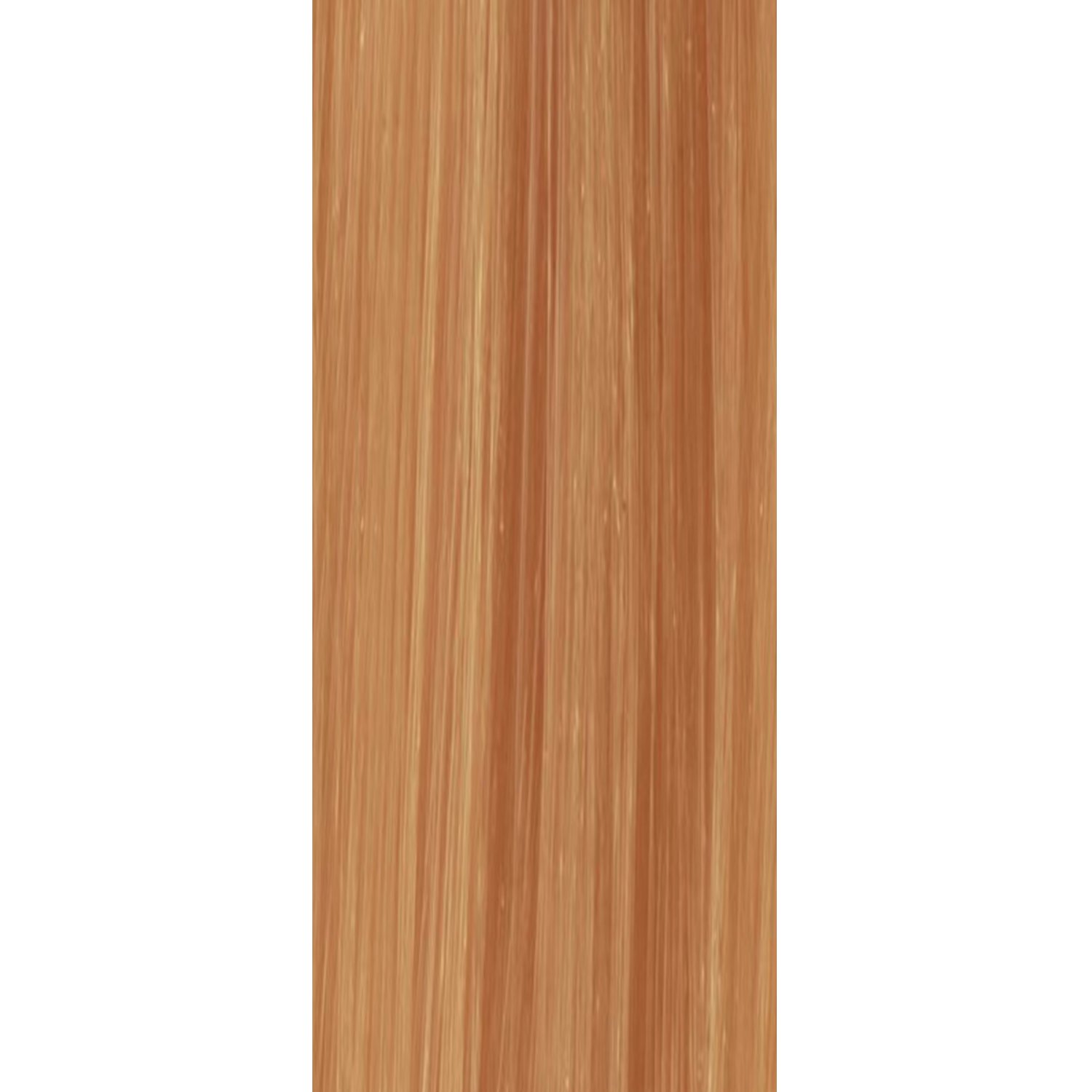 HCKEV104128_02.jpg