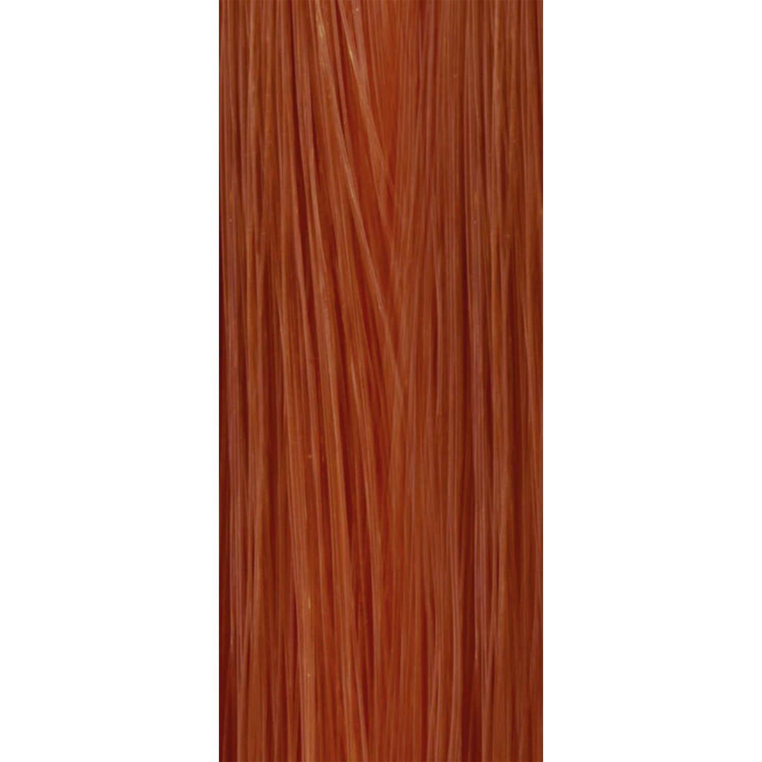 HCKEV102488_02.jpg