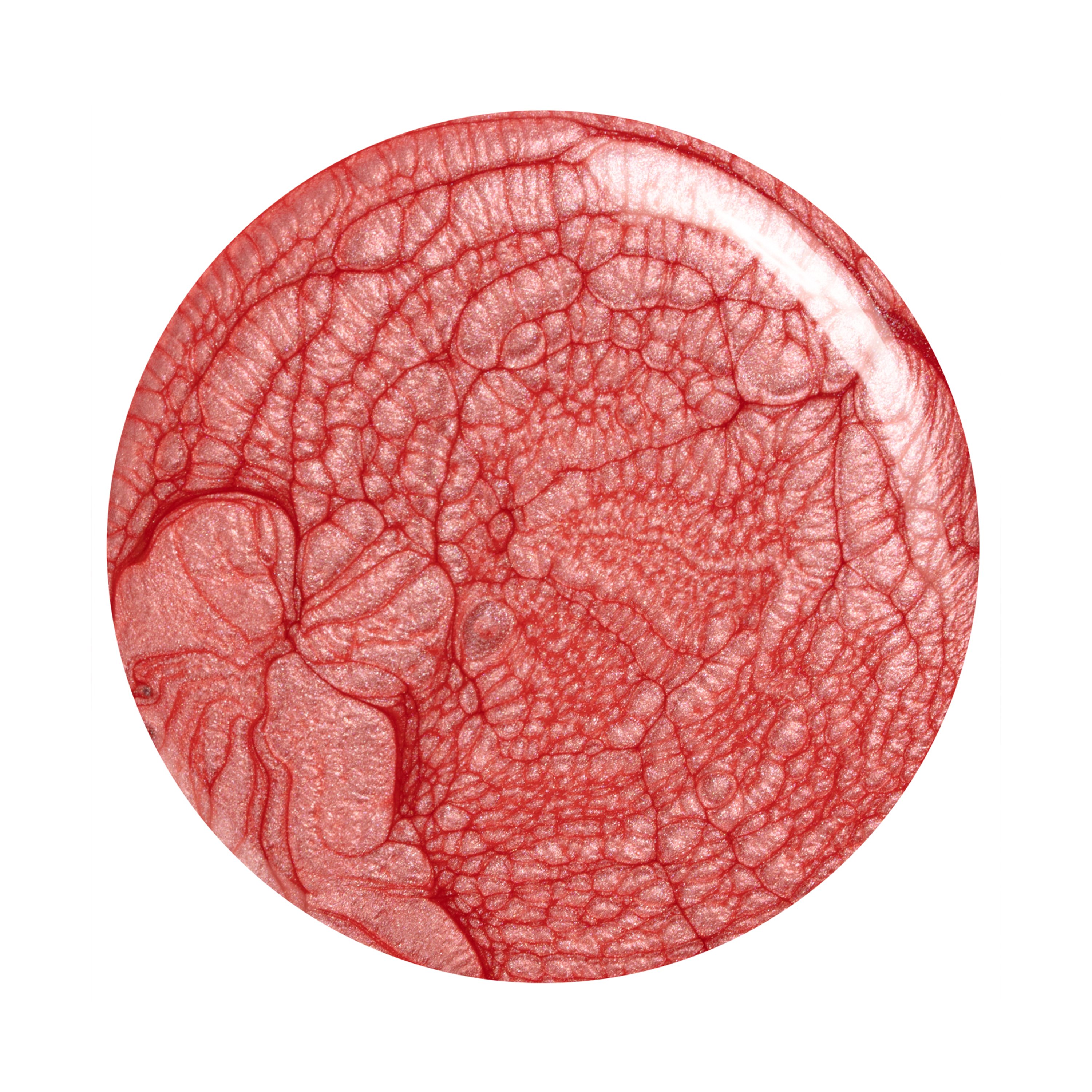 NCORL102986_03.jpg