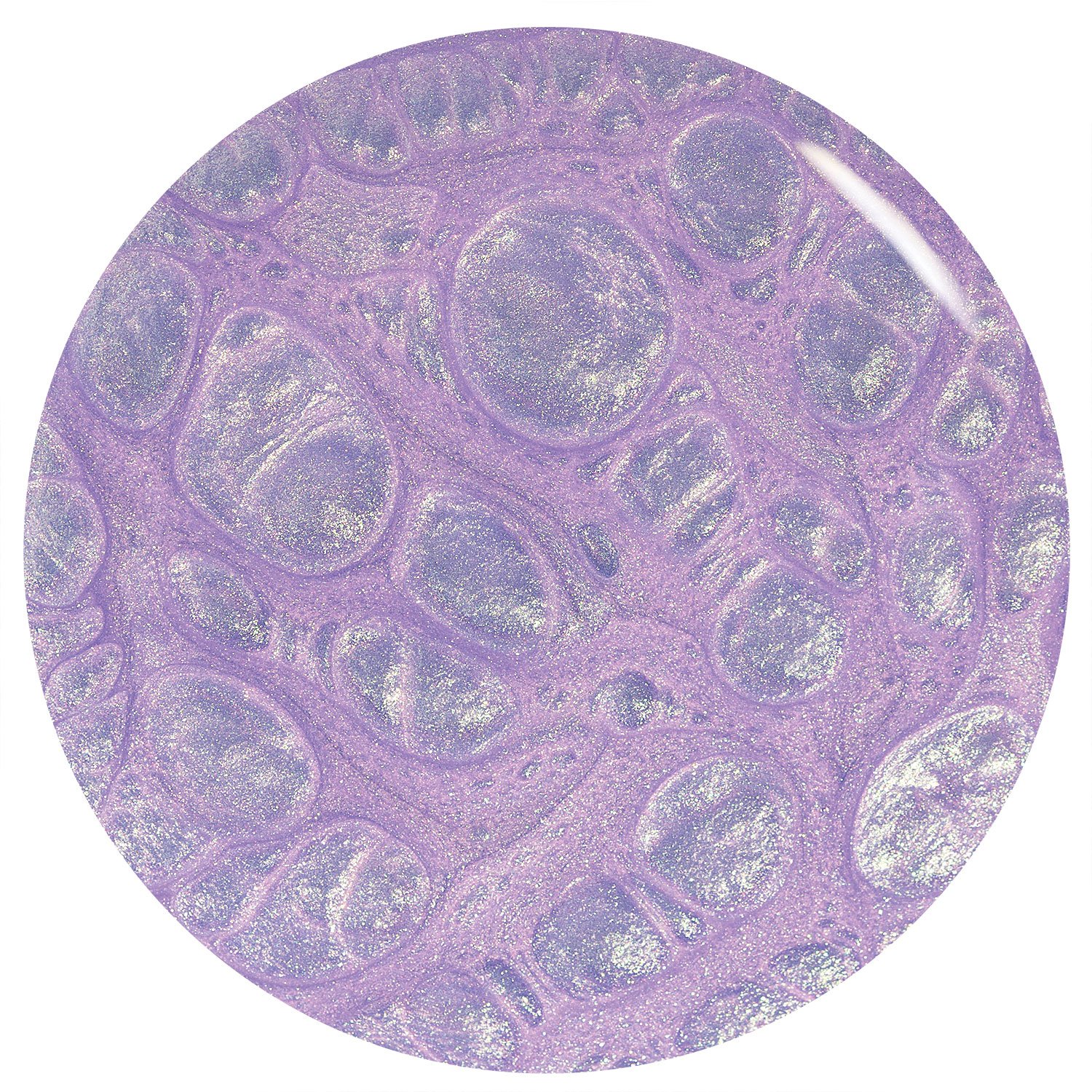 NCORL114919_02.jpg