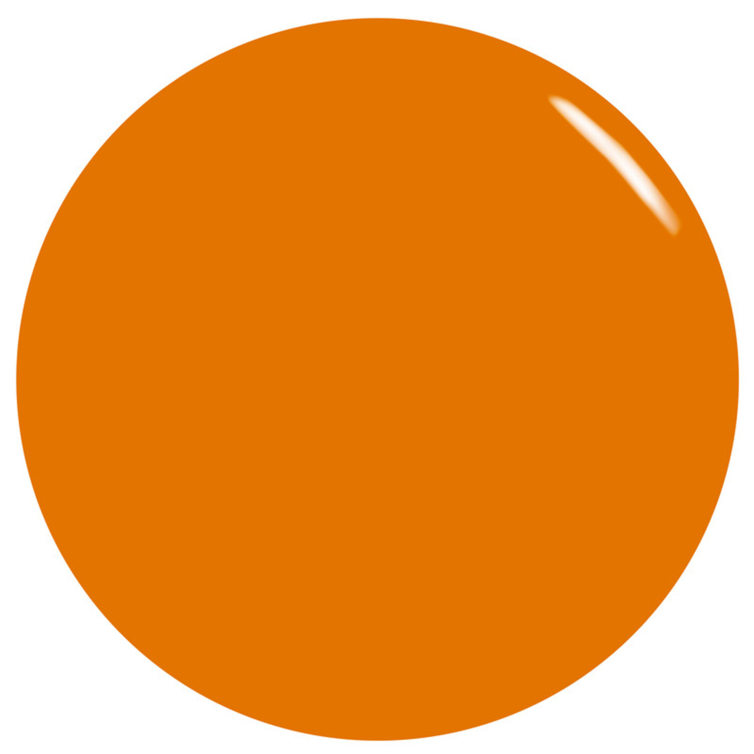 NCORL99433_02.jpg