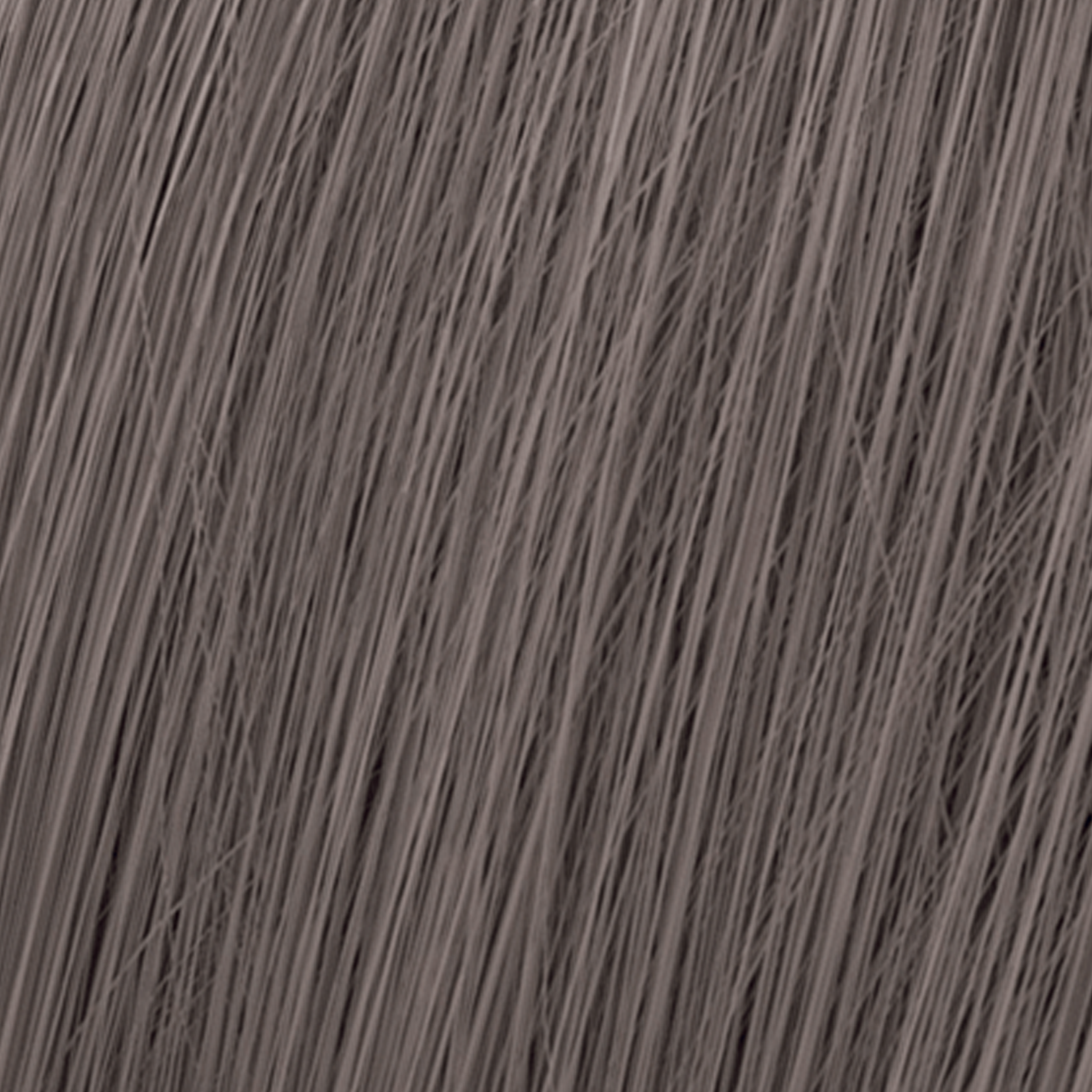 HCWEL113987_02.png