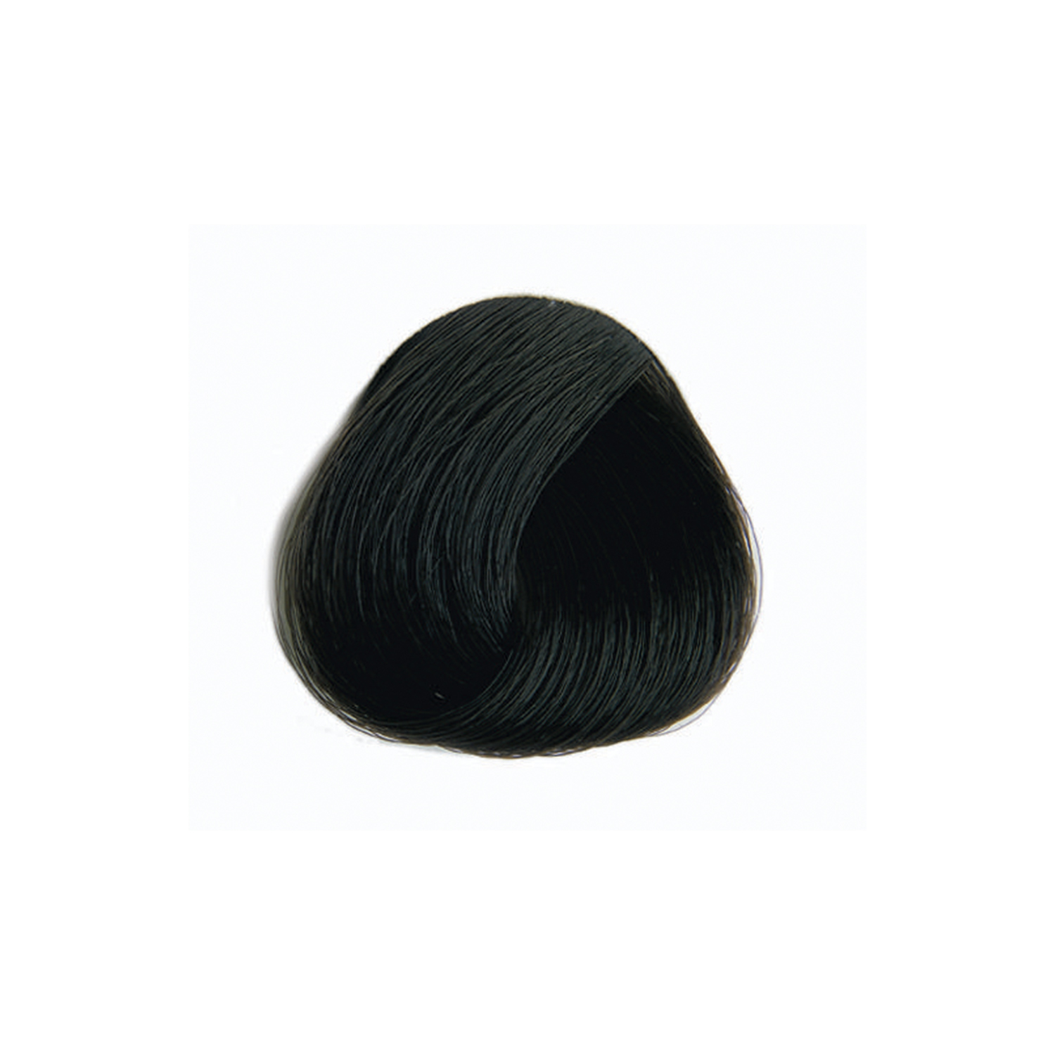 Selective Professional Colorevo 1.0 Black 100Ml